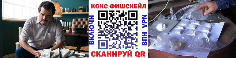 КОКАИН Fish Scale  Суздаль 